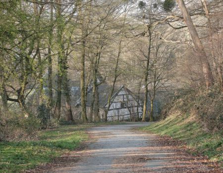 Landschap rondom Valkenburg