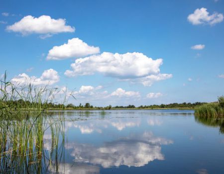 fietsvakantie langs het naardermeer in Nederland