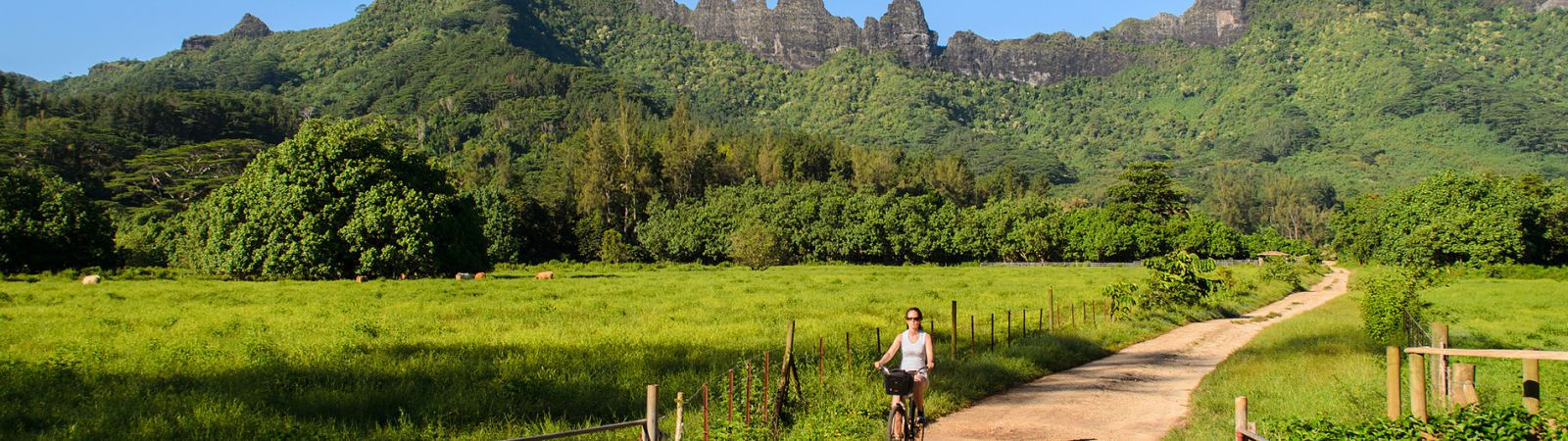 Fietsen met bergen op achtergrond